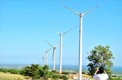 EVN gets nod for Ninh Thuan wind power plant 